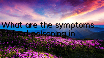 TWhat are the symptoms of food poisoning in dogs?