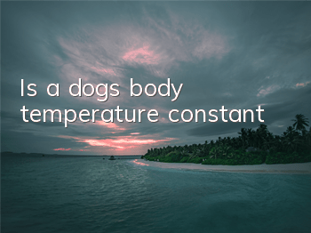 Is a dog’s body temperature constant?