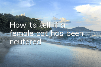 How to tell if a female cat has been neutered