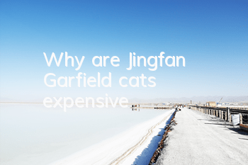 Why are Jingfan Garfield cats expensive?