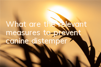 TWhat are the relevant measures to prevent canine distemper?