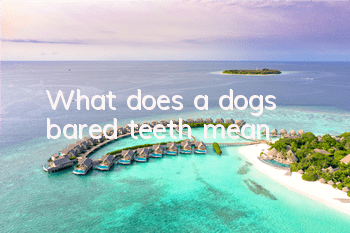 TWhat does a dog's bared teeth mean?