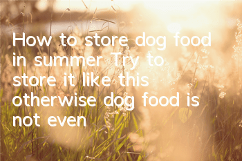 How to store dog food in summer? Try to store it like this, otherwise dog food is not even as good as steamed buns!