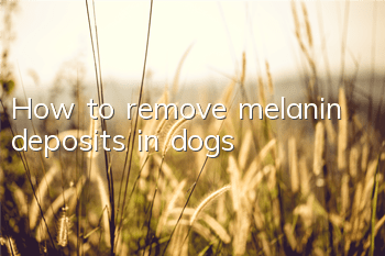 How to remove melanin deposits in dogs