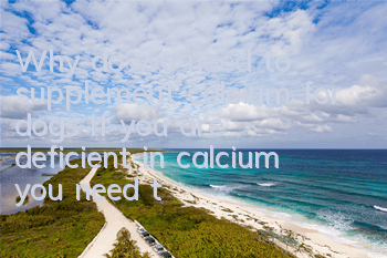 Why do we need to supplement calcium for dogs? If you are deficient in calcium, you need to supplement it. Don’t ask why your dog needs it.