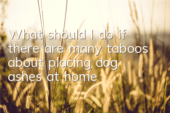 What should I do if there are many taboos about placing dog ashes at home?