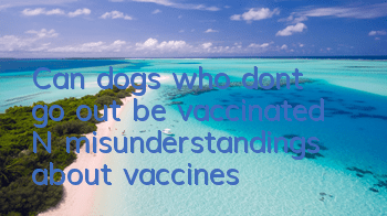 Can dogs who don’t go out be vaccinated? N misunderstandings about vaccines