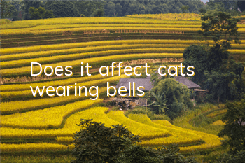 Does it affect cats wearing bells?