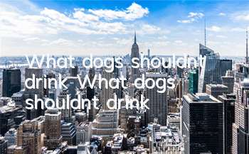 What dogs shouldn’t drink What dogs shouldn’t drink