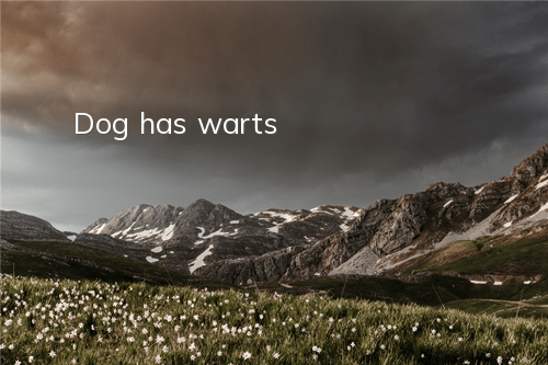 Dog has warts