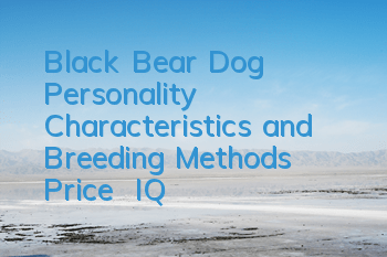 Black Bear Dog Personality Characteristics and Breeding Methods | Price | IQ