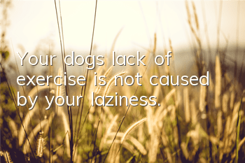 Your dog’s lack of exercise is not caused by your laziness.