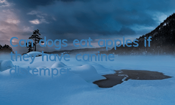 TCan dogs eat apples if they have canine distemper?