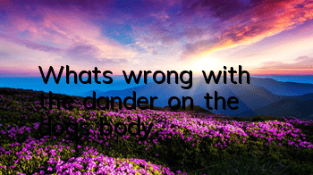 What's wrong with the dander on the dog's body?