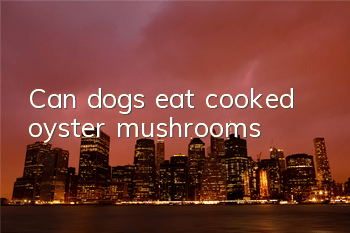 TCan dogs eat cooked oyster mushrooms?