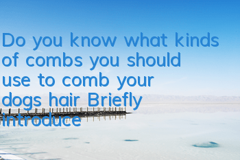 Do you know what kinds of combs you should use to comb your dog’s hair? Briefly introduce three types of combs
