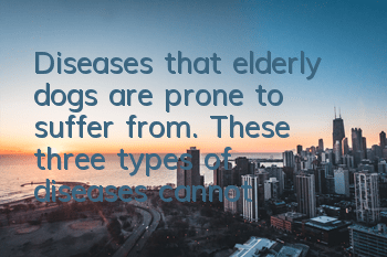 Diseases that elderly dogs are prone to suffer from. These three types of diseases cannot be ignored.