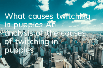 What causes twitching in puppies? An analysis of the causes of twitching in puppies