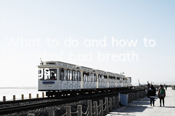 TWhat to do and how to get rid of bad breath in dogs