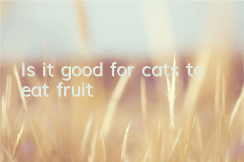 Is it good for cats to eat fruit?