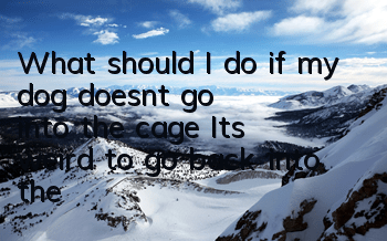 What should I do if my dog ​​doesn’t go into the cage? It’s weird to go back into the cage and feel like he’s in jail!