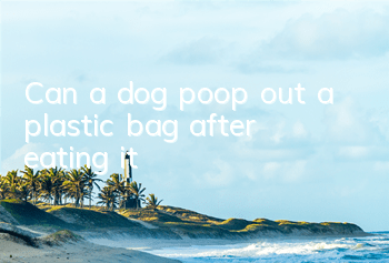 TCan a dog poop out a plastic bag after eating it?