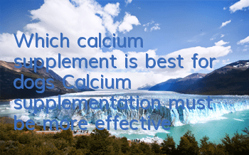 Which calcium supplement is best for dogs? Calcium supplementation must be more effective than food supplementation!