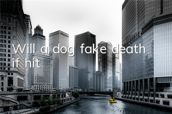 Will a dog fake death if hit?