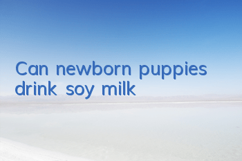 TCan newborn puppies drink soy milk?