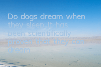 Do dogs dream when they sleep? It has been scientifically proven that they can dream!