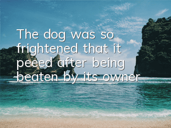 The dog was so frightened that it peeed after being beaten by its owner