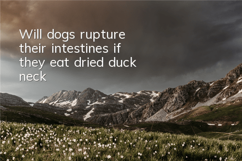 TWill dogs rupture their intestines if they eat dried duck neck?