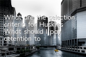 What are the selection criteria for Huskies? What should I pay attention to?