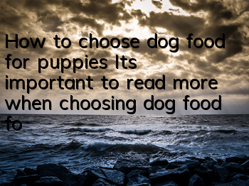 How to choose dog food for puppies? It’s important to read more when choosing dog food for puppies!