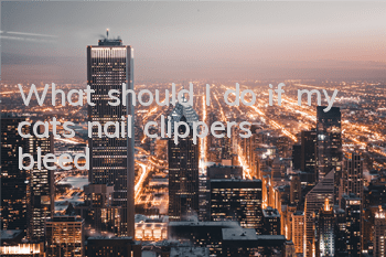 What should I do if my cat’s nail clippers bleed?