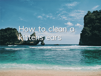 How to clean a kitten’s ears