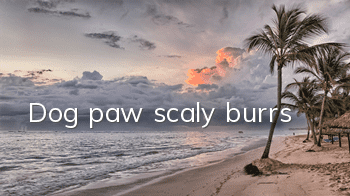 Dog paw scaly burrs