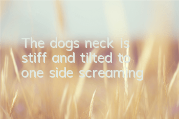 The dog's neck is stiff and tilted to one side, screaming