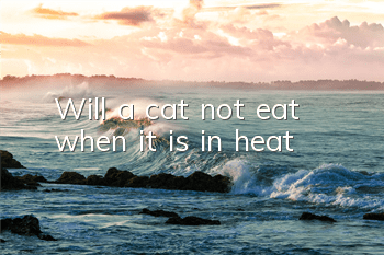Will a cat not eat when it is in heat?