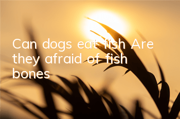 Can dogs eat fish? Are they afraid of fish bones?