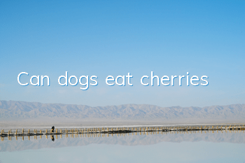 Can dogs eat cherries?