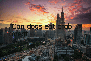 Can dogs eat crab meat?