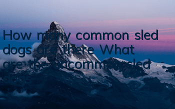 How many common sled dogs are there? What are the uncommon sled dogs?