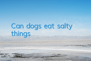 Can dogs eat salty things?