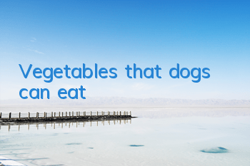 Vegetables that dogs can eat