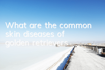 What are the common skin diseases of golden retrievers?
