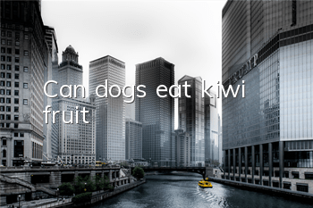 Can dogs eat kiwi fruit?