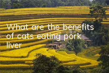 TWhat are the benefits of cats eating pork liver?