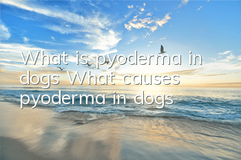What is pyoderma in dogs? What causes pyoderma in dogs?