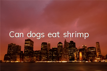 Can dogs eat shrimp?